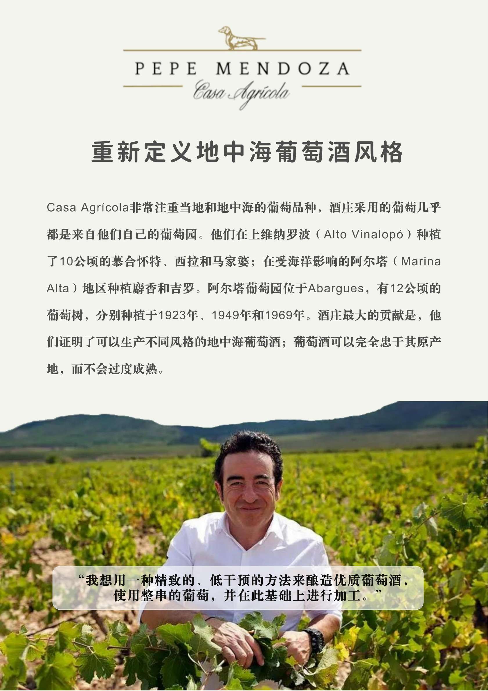 艾维内诺红葡萄酒