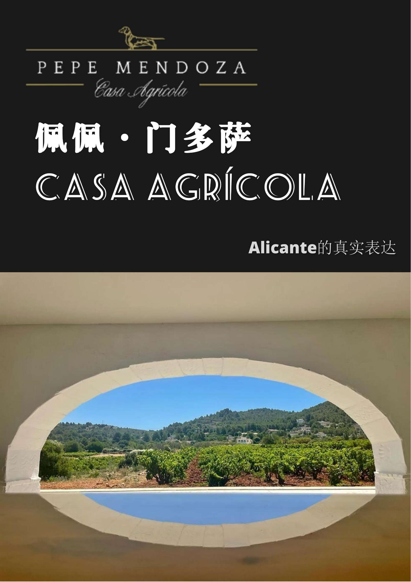 吉罗阿巴尔盖斯红葡萄酒